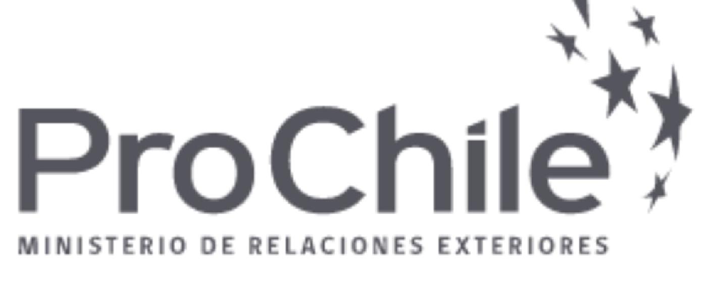 ProChile Backs qScire, Pioneering Chile's Foray into the Semiconductor Industry.