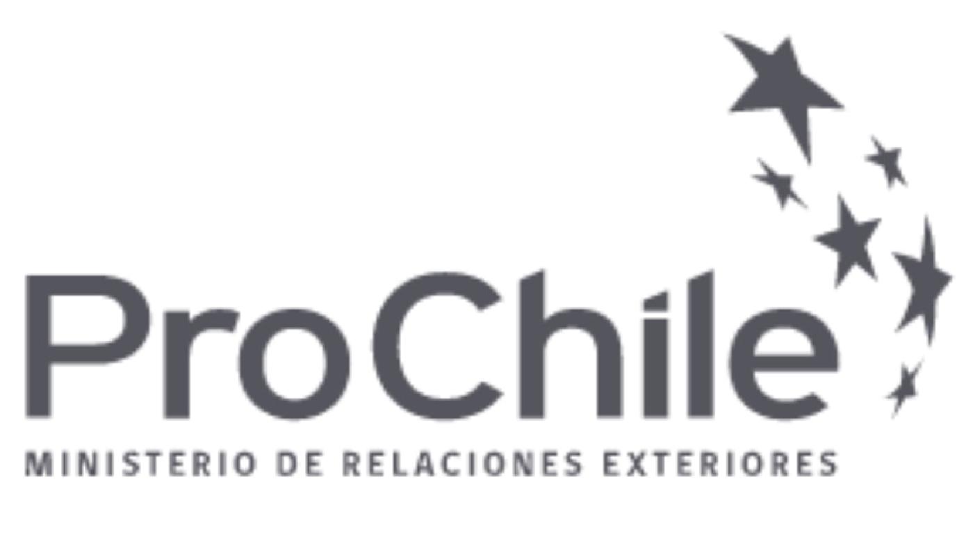 ProChile Backs qScire, Pioneering Chile's Foray into the Semiconductor Industry.